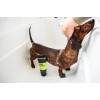 Animology Dybrensende intensiv hundeshampoo 250 ml Animology Dybrensende intensiv hundeshampoo 250 ml