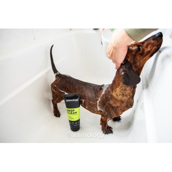 Dybrensende intensiv hundeshampoo 250 ml Animology Dybrensende intensiv hundeshampoo 250 ml Animology