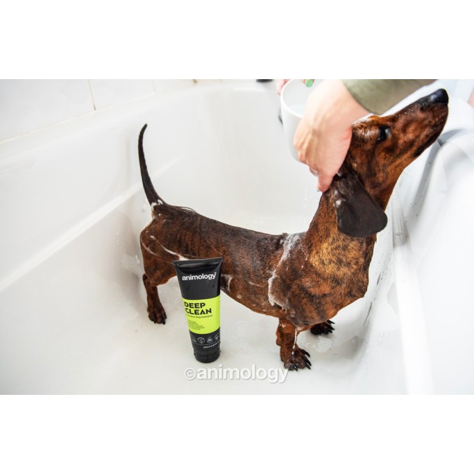 Dybrensende intensiv hundeshampoo 250 ml Animology Dybrensende intensiv hundeshampoo 250 ml Animology