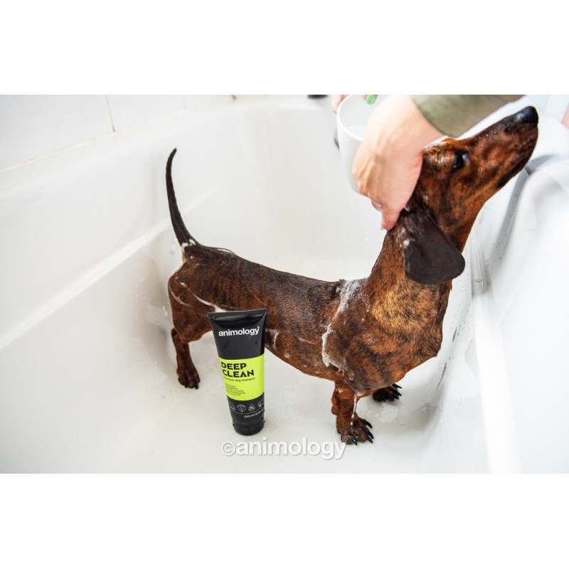 Animology Dybrensende intensiv hundeshampoo 250 ml Animology Dybrensende intensiv hundeshampoo 250 ml