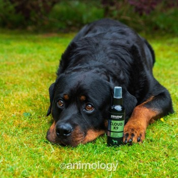 Cloud K9 Body Mist 150 ml Animology Cloud K9 Body Mist 150 ml Animology