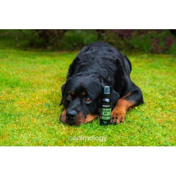 Cloud K9 Body Mist 150 ml Animology Cloud K9 Body Mist 150 ml Animology