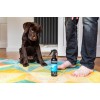 Animology Mucky Pup Hvalpeshampoo uden skylning 250 ml Animology Mucky Pup Hvalpeshampoo uden skylning 250 ml
