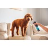 Animology Puppy Fresh Lugtfjernende Hvalpespray 250 ml Animology Puppy Fresh Lugtfjernende Hvalpespray 250 ml