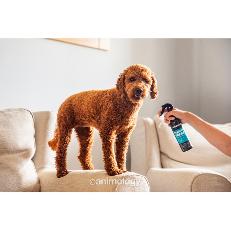 Animology Puppy Fresh Lugtfjernende Hvalpespray 250 ml Animology Puppy Fresh Lugtfjernende Hvalpespray 250 ml