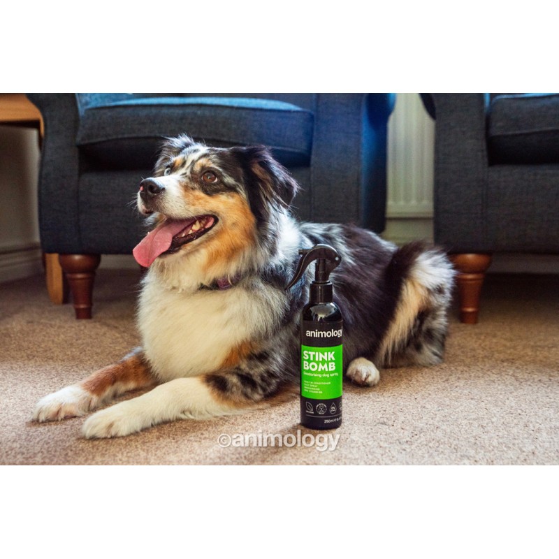 Animology Stink Bomb Lugtfjernende Hundespray 250 ml Animology Stink Bomb Lugtfjernende Hundespray 250 ml