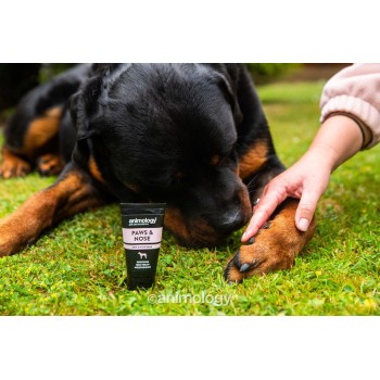 Animology Pote- og næsebalsam 50 ml Animology Animology Pote- og næsebalsam 50 ml Animology