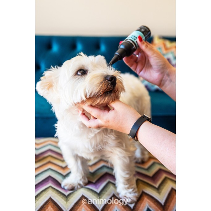 Fjerner tårepletter 100 ml Animology