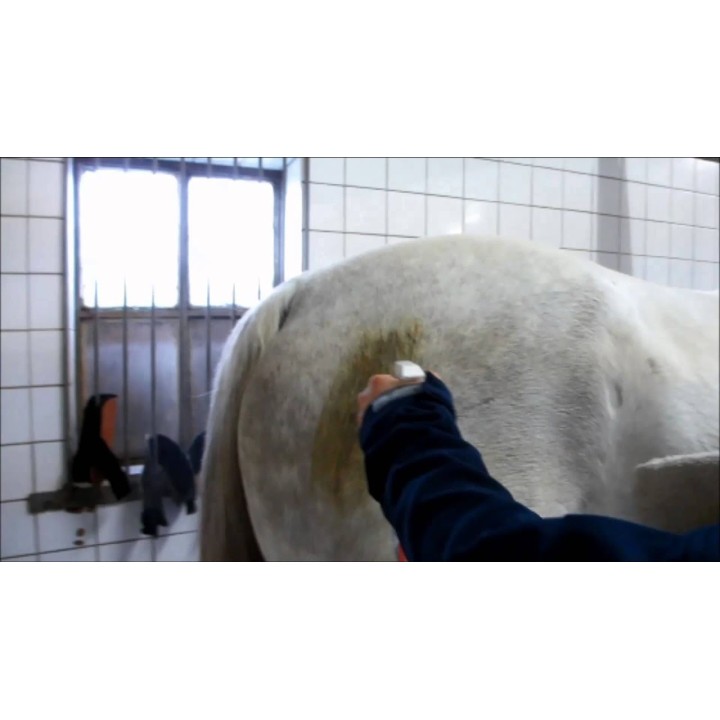 Højglans Rengøringsspray til pelsen 500 ml Excellent Horse