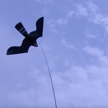 Birdshield Sæt L91cm Birdshield Sæt L91cm