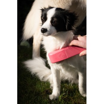 Kæledyrsplejebørste Mellem Pink Excellent