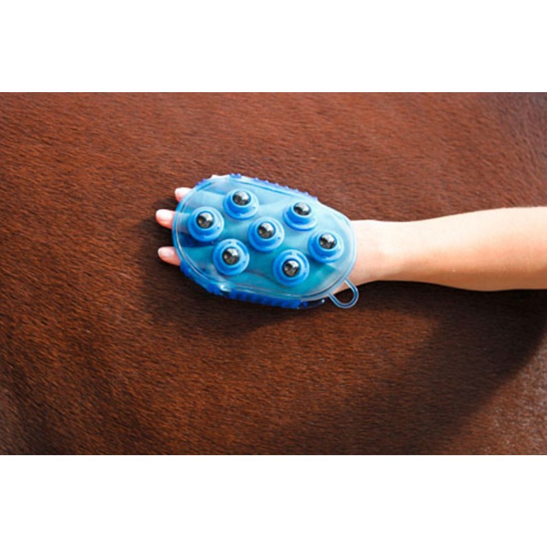 Børste magnetisk massage Blå