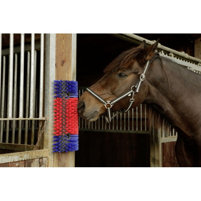 Børste til hest, kvæg, ged  50cm