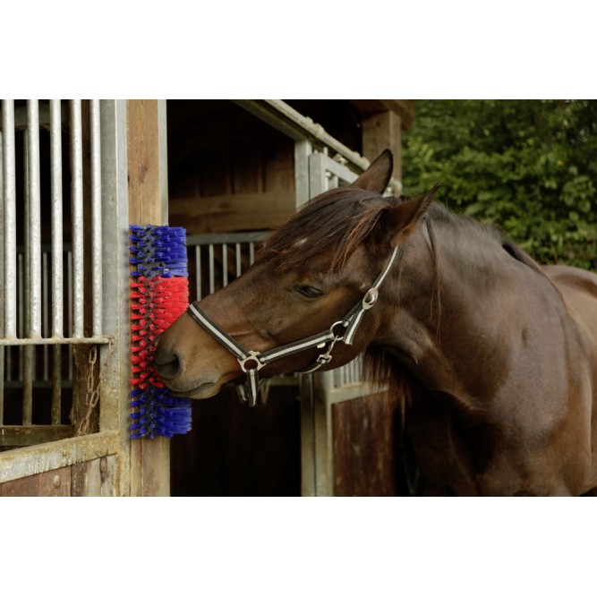 Børste til hest, kvæg, ged  50cm