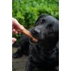Medium snacks 6 stk a 30g Bugbone