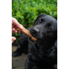 Medium snacks 6 stk a 30g Bugbone Medium snacks 6 stk a 30g Bugbone