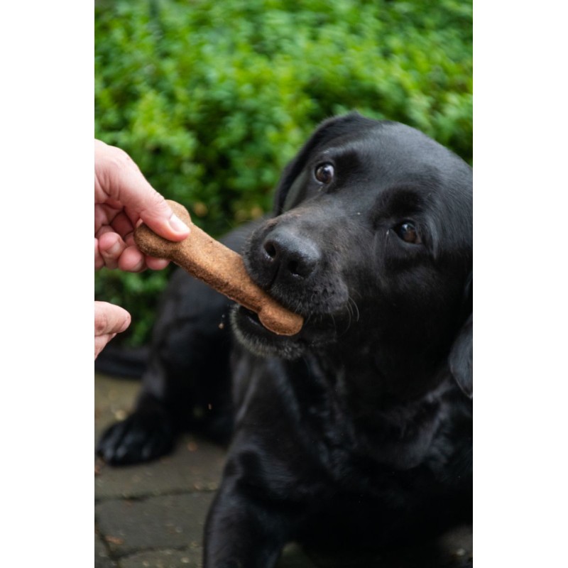Medium snacks 6 stk a 30g Bugbone Medium snacks 6 stk a 30g Bugbone