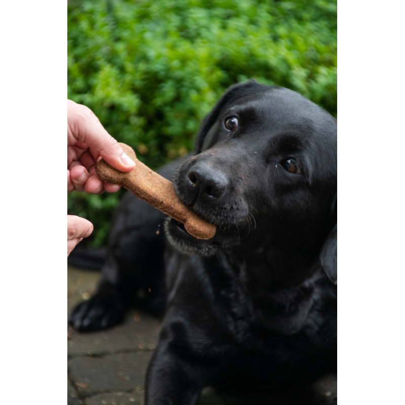 Medium snacks 6 stk a 30g Bugbone Medium snacks 6 stk a 30g Bugbone