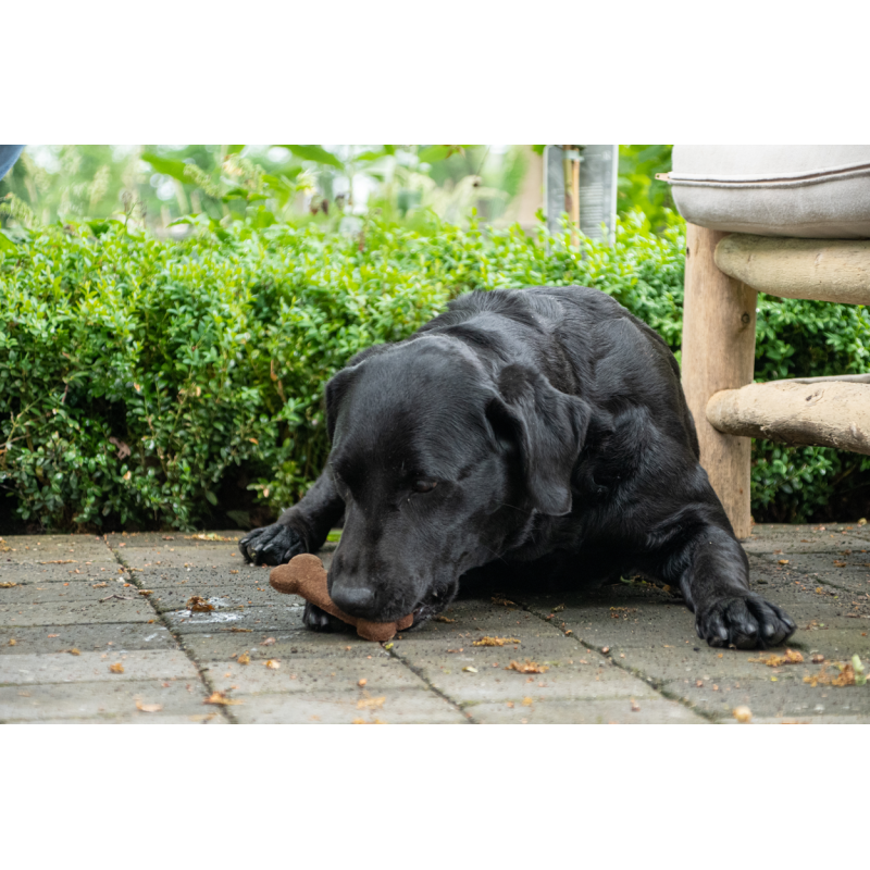 Kødben Megapack 11 kg Bugbone Kødben Megapack 11 kg Bugbone
