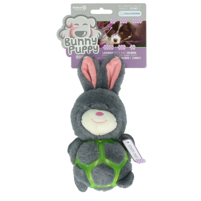 Bunny Puppy Rem Bunny Puppy Rem