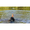 Dog Comets Bobber Green Dog Comets Bobber Green