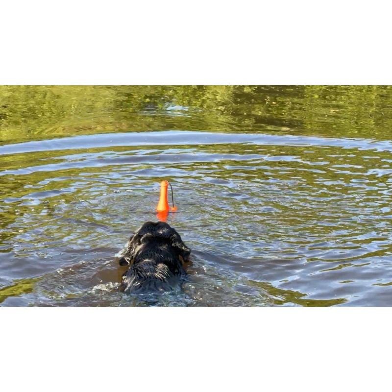 Dog Comets Bobber Green Dog Comets Bobber Green