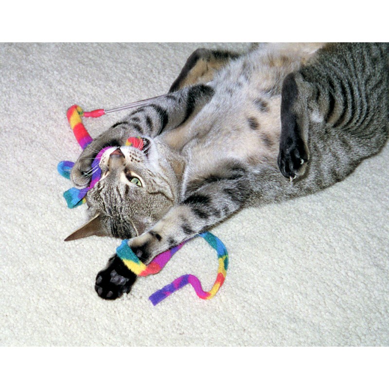 Cat Dancer Kattecharmer Cat Dancer Kattecharmer
