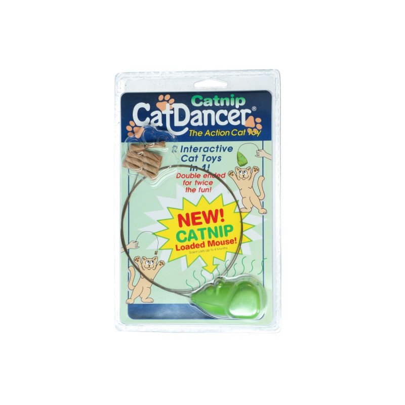 Cat Dancer Katteurt