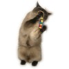 Cat Dancer Ring Tail Chasers (2-pak) Cat Dancer Ring Tail Chasers (2-pak)