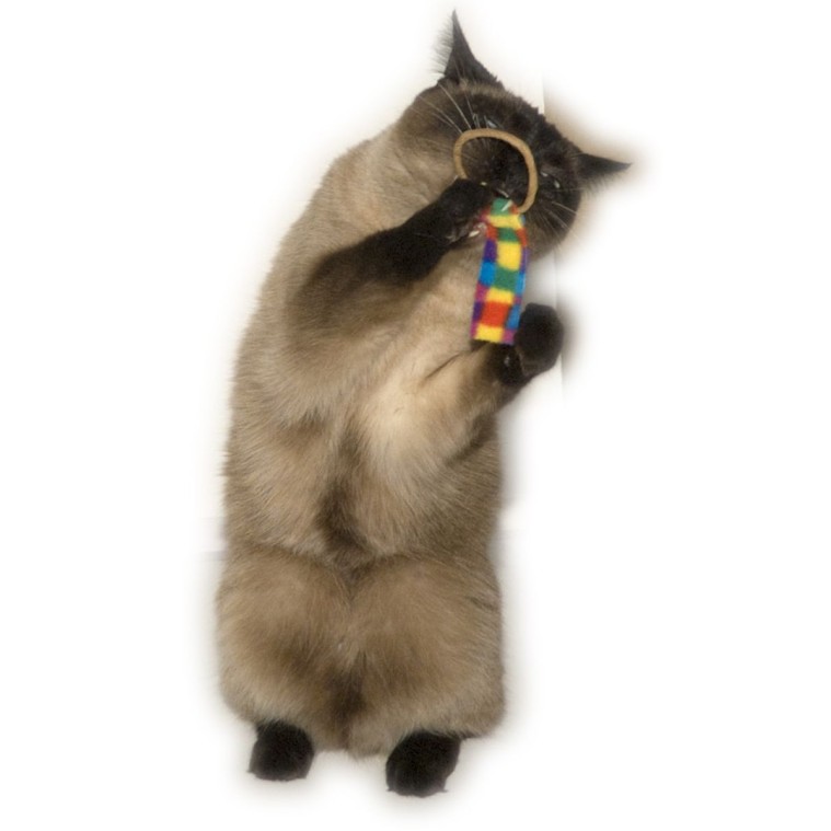 Cat Dancer Ring Tail Chasers (2-pak)