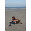 Chuckit! Flyvende egern M Chuckit! Flyvende egern M