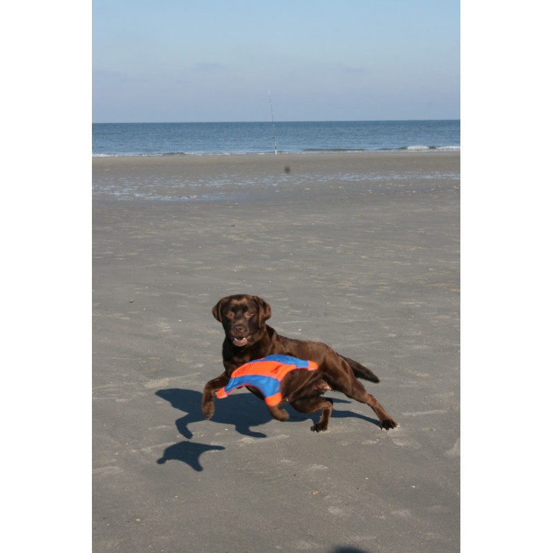Chuckit! Flyvende egern M Chuckit! Flyvende egern M