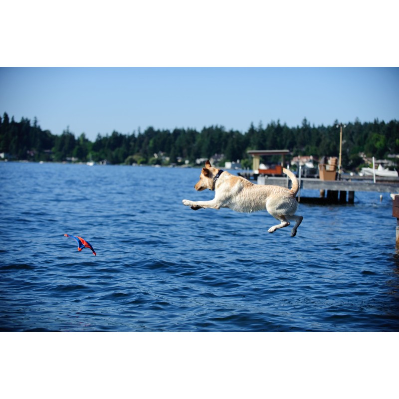 Chuckit! Flyvende egern M Chuckit! Flyvende egern M