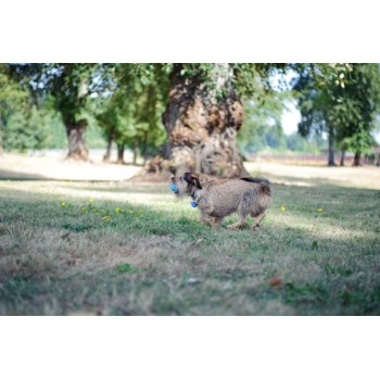 Chuckit! Whistler S (2-pak) Chuckit! Whistler S (2-pak)