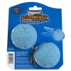 Chuckit! Rebounce Apportbold M (2-pak) Chuckit! Rebounce Apportbold M (2-pak)