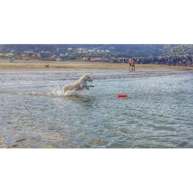 Amfibisk bumber S Chuckit!