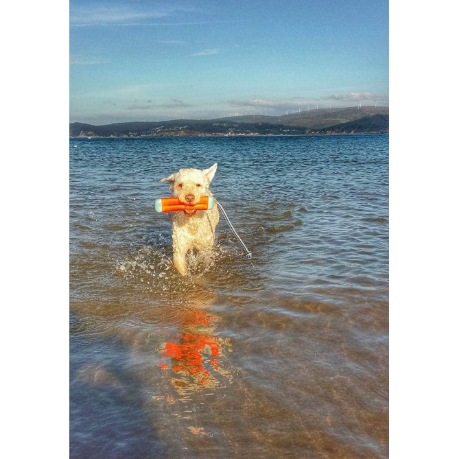 Amfibisk bumber S Chuckit!