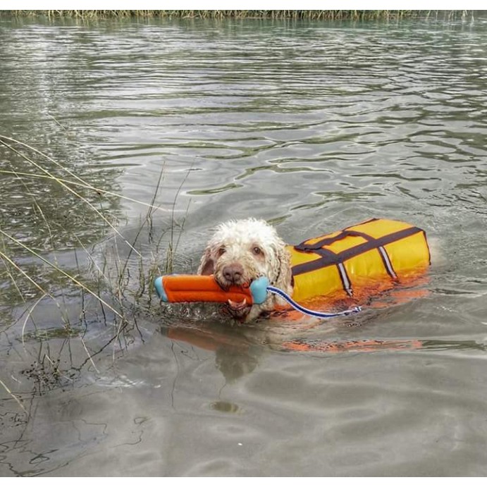 Amfibisk bumber S Chuckit!