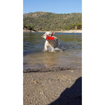 Amfibisk bumber S Chuckit! Amfibisk bumber S Chuckit!