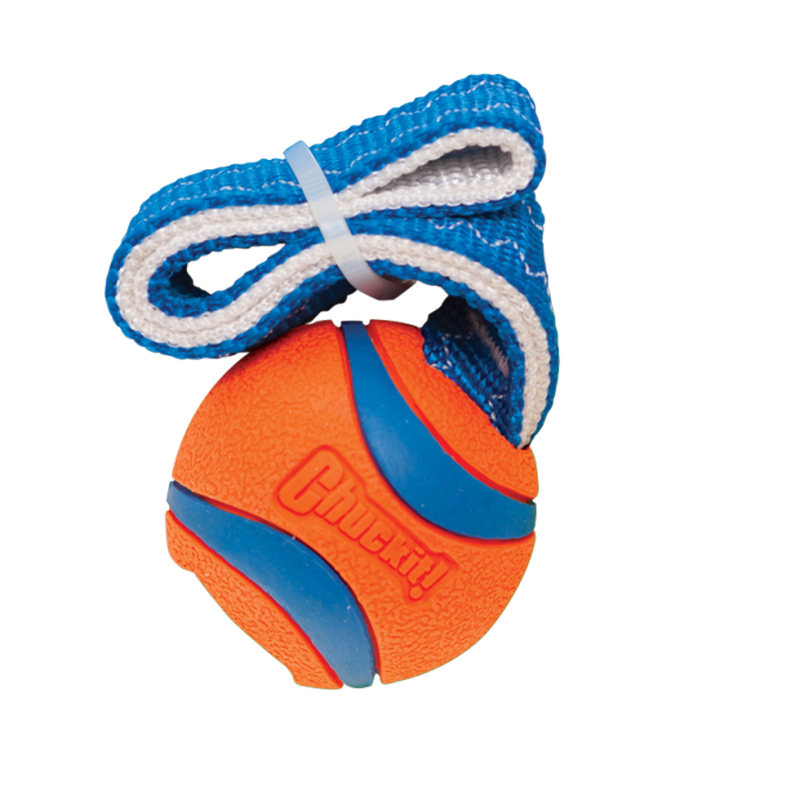 Chuckit! Ultra Tug S Chuckit! Ultra Tug S