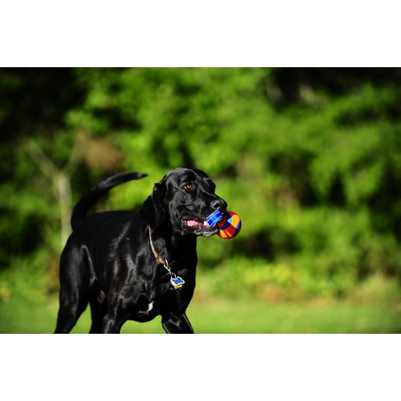 Chuckit! Ultra Tug S Chuckit! Ultra Tug S