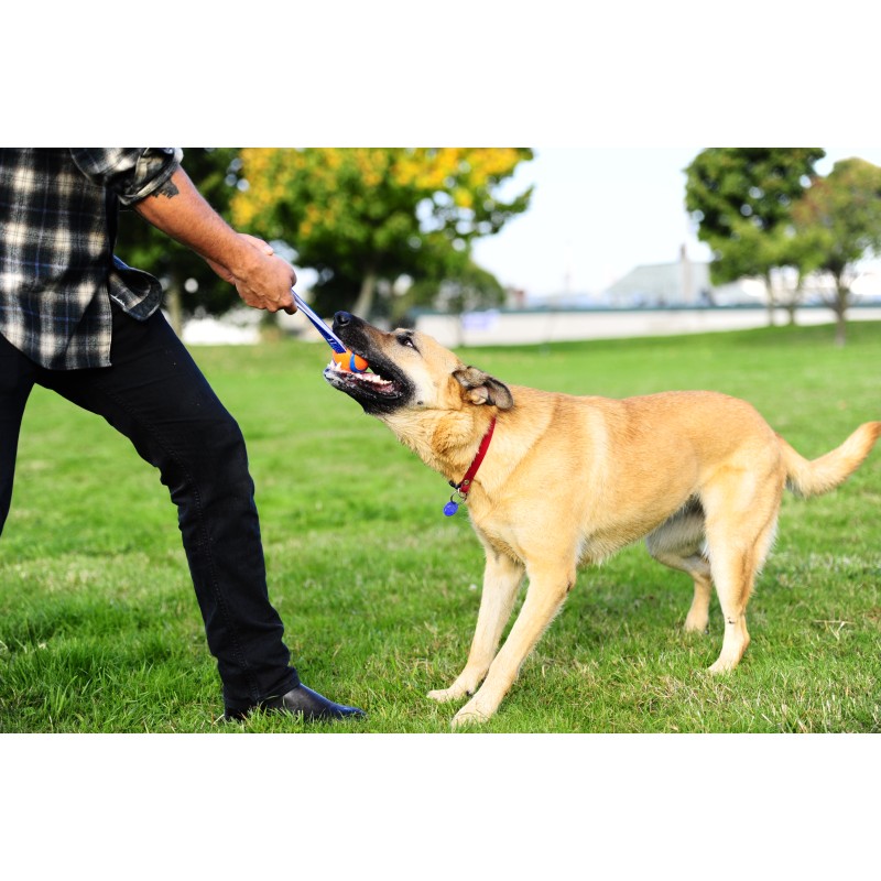 Chuckit! Ultra Tug S Chuckit! Ultra Tug S