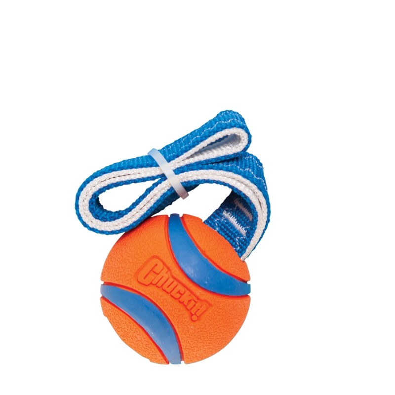 Chuckit! Ultra Tug M Chuckit! Ultra Tug M
