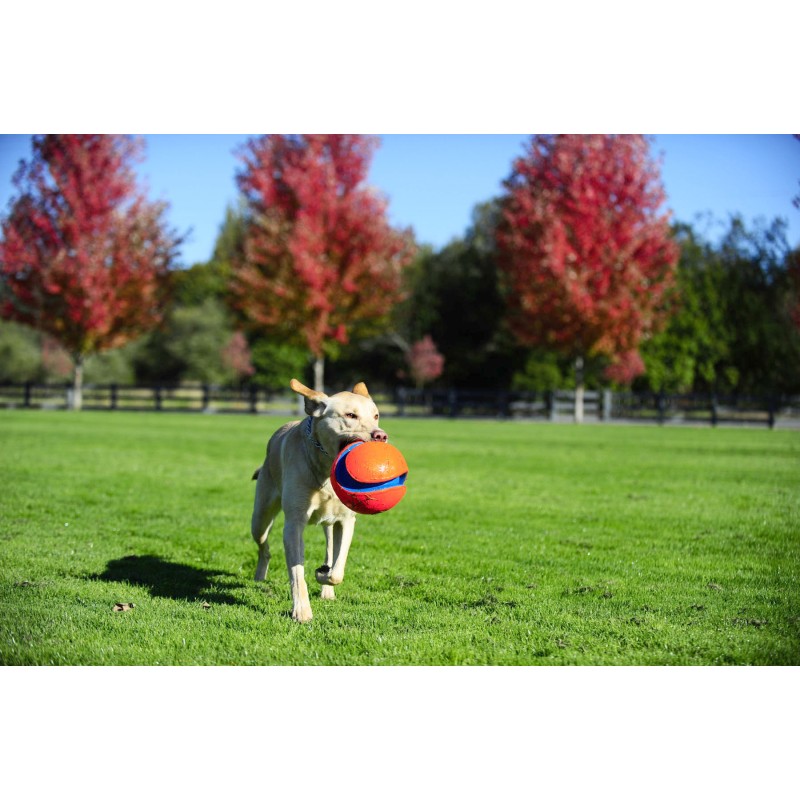 Chuckit! Spark Hent Hund L Chuckit! Spark Hent Hund L