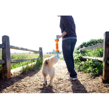 Robust Bumber L Hundelegetøj Chuckit!