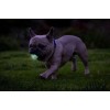 Chuckit! Air Glow apportbold M (2-pak) Chuckit! Air Glow apportbold M (2-pak)