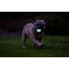 Chuckit! Air Glow apportbold M (2-pak) Chuckit! Air Glow apportbold M (2-pak)