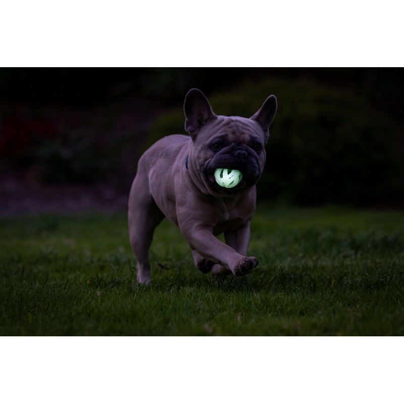 Chuckit! Air Glow apportbold M (2-pak) Chuckit! Air Glow apportbold M (2-pak)