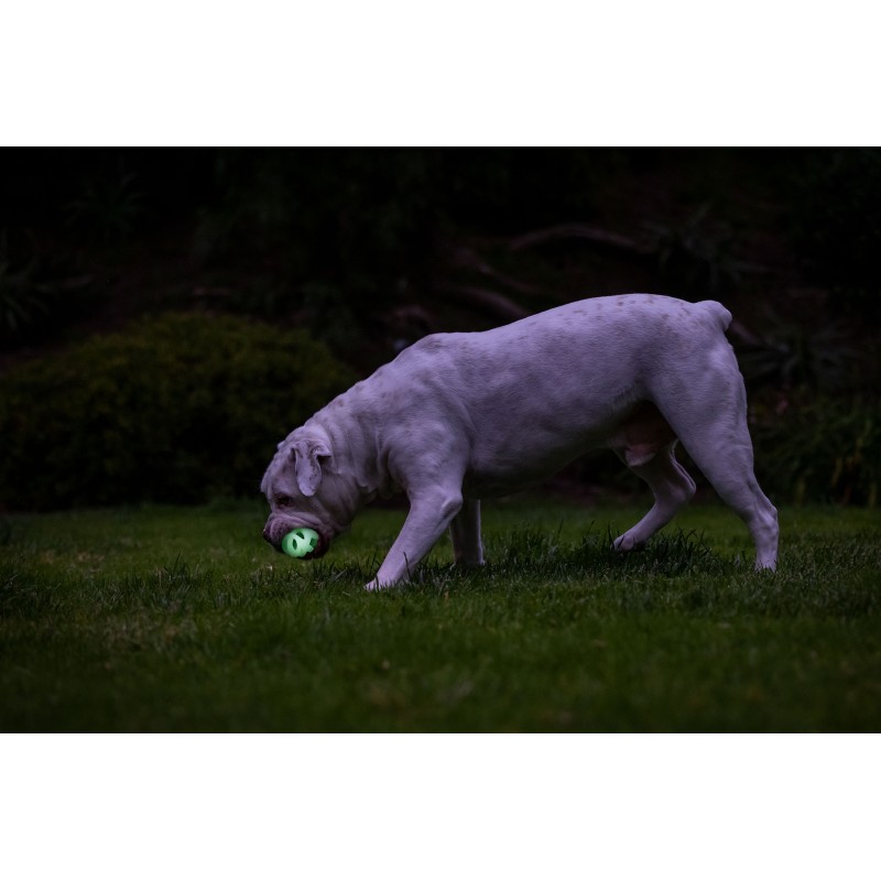 Chuckit! Air Glow Apport Ball M Chuckit! Air Glow Apport Ball M