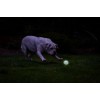 Chuckit! Air Glow Apport Ball M Chuckit! Air Glow Apport Ball M